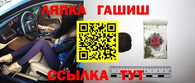 гидропоника Гатчина