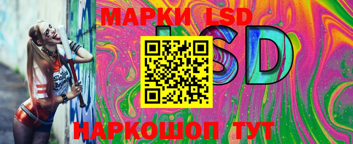 Псилоцибиновые грибы Менделеевск